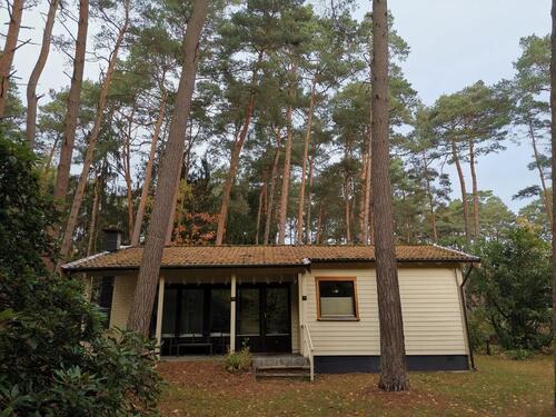 Foto - andere in Neustadt am Rübenberge zur Miete