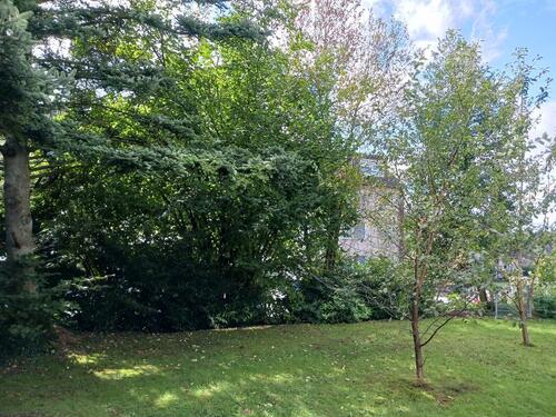 Foto - Grüne Aussichten, mit Südbalkon und EBK, ruhig im Grünen gelegen!