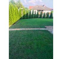 Zwei Zimmerwohnung in Wathlingen zu vermieten - Nienhagen