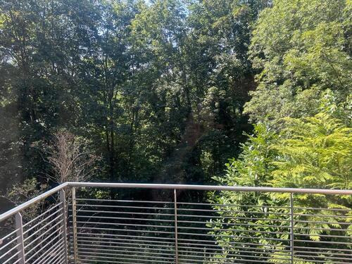 Foto - 2 Zimmer Etagenwohnung zur Miete in Nürnberg