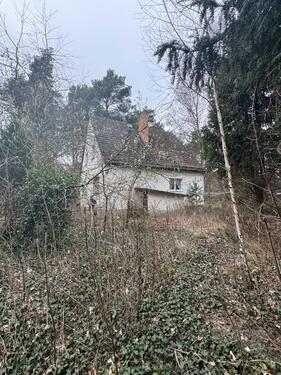 Foto - Einfamilienhaus in Zeuthen zum Kaufen