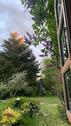 Foto - Haus mit Wald und Grundstück nähe Grenze
