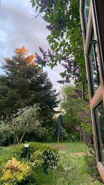 Foto - Haus mit Wald und Grundstück nähe Grenze
