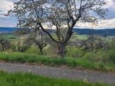 Foto - Waldgrundstück Schorndorf - 4.500,00&nbsp;EUR Kaltmiete, ca.&nbsp; 0,00&nbsp;m&sup2;