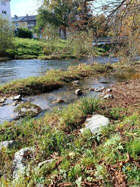 Foto - Hochwertige 1 Zi Wohnung in Freiburg