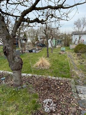 Foto - Grundst&uuml;ck zur Miete in Neubrandenburg