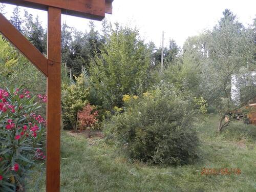 Foto - Einfamilienhaus in Müncheberg