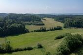 Foto - andere in Bermatingen