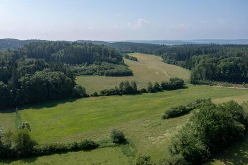 Foto - andere in Bermatingen