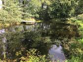 Foto - Freizeitgrundstück mit Teich, Alleinlage, 40 km nördl. HH