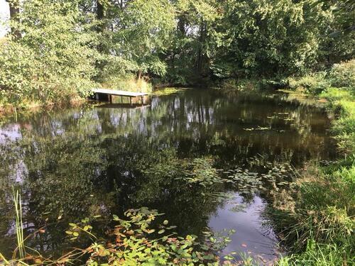 Foto - Freizeitgrundstück mit Teich, Alleinlage, 40 km nördl. HH