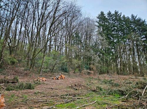 Foto - Grundst&uuml;ck in Saarbrücken zur Miete