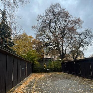 Foto - andere zur Miete in Chemnitz