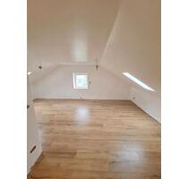 charmante und frisch renovierte 3-Zimmer-Wohnung Dachgeschoss - Lauingen (Donau)