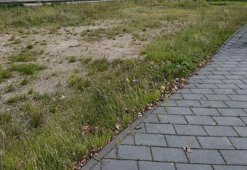 Foto - Stellplatz - 40,00&nbsp;EUR Miete,