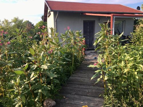 Foto - Einfamilienhaus in Königsbrück