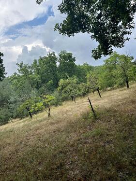 Foto - Grundstück zur Miete in Adelsdorf