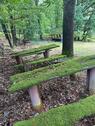Foto - Grundstück in Adelsdorf zur Miete