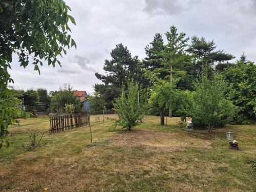 Foto - 7 Zimmer Einfamilienhaus in Sangerhausen