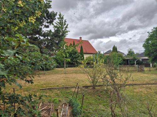 Foto - Einfamilienhaus in Sangerhausen zum Kaufen