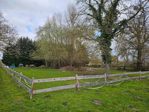Foto - Pferdewiese, Garten, Wiese, Freizeitgrundstück