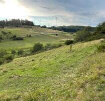 Landwirtschaftsfläche Wiese Angelburg Frechenhausen