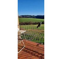 Nähe Bleialf 3ZKDB 62 qm herrliche Aussichtslage großer Balkon