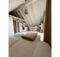 1-Zimmer-Appartement in Seelbach-Wittelbach