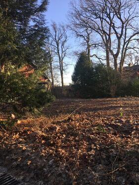 Foto - 3 Parzellen für Tiny House oder Modulhäuser