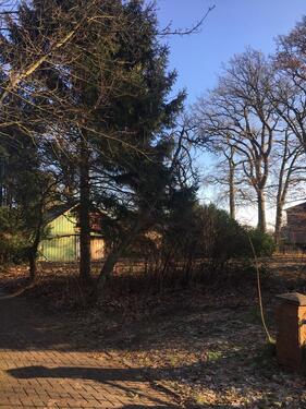 Foto - Grundst&uuml;ck in Wasbek