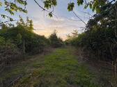 Foto - Entwicklungsgrundstück für Wohnbebauung – ca. 2.500 m² Heidmühle