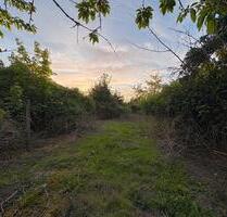 Entwicklungsgrundstück für Wohnbebauung – ca. 2.500 m² Heidmühle - Schortens