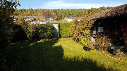Foto - Freizeit Garten Schrebergarten abzugeben
