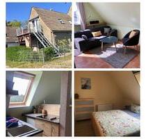 Herbstauszeit - 65,00 EUR Kaltmiete, in Prerow (PLZ: 18375)