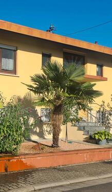 Foto - Wohnhaus mit 325 qm Wohnfläche - 850.000,00&nbsp;EUR Kaufpreis, ca.&nbsp; 325,00&nbsp;m&sup2;