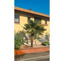 Wohnhaus mit 325 qm Wohnfläche - 850.000,00&nbsp;EUR Kaufpreis, ca.&nbsp; 325,00&nbsp;m&sup2; in Freisbach (PLZ: 67361)