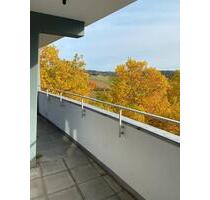 Schöne 1 Zimmer Wohnung mit Balkon in Sinsheim