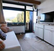 Gemütliches, möbliertes Appartement in Schluchsee zu vermieten
