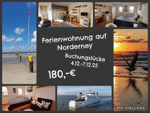 Foto - Ferienwohnung auf Norderney in sehr guter Lage
