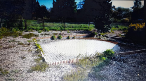 Foto - Grundstück Immenhausen Holzhausen