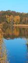 Foto - Wochenendhaus am See im Wald - 15.000,00 EUR Kaufpreis,