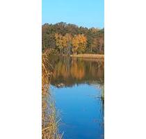 Wochenendhaus am See im Wald - 15.000,00 EUR Kaufpreis, in Belgern-Schildau (PLZ: 04874)