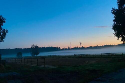 Foto - Ferienwohnung, Urlaub auf dem Pferdehof, Haustiere erlaubt