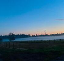 Ferienwohnung, Urlaub auf dem Pferdehof, Haustiere erlaubt - Gnarrenburg