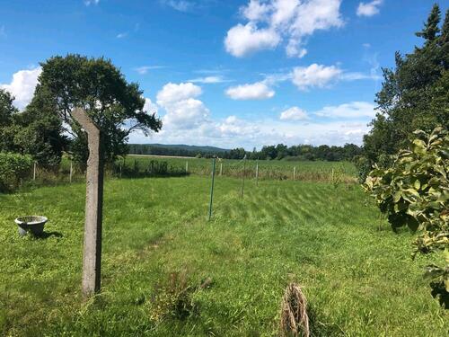 Foto - Etagenwohnung in Salzgitter zur Miete