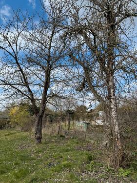 Foto - Grundst&uuml;ck in Kassel zur Miete