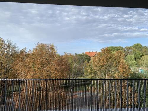 Foto - 3 Zimmer Einfamilienhaus in Erfurt