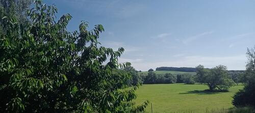 Foto - 3 Zimmer Etagenwohnung in Wetter (Hessen)