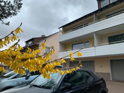 Foto - 5 Zimmer Mehrfamilienhaus, Wohnhaus zum Kaufen in Bad Pyrmont