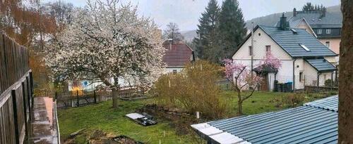 Foto - Einfamilienhaus in Olbernhau